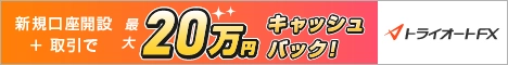 インヴァスト証券 トライオートFX